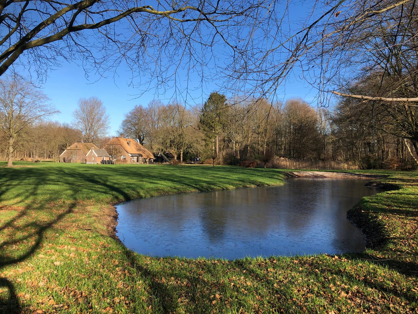 Het aanleggen van een natuurlijke zwemvijver